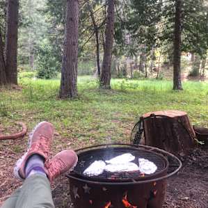 View of the meadow from the bonfire pit.