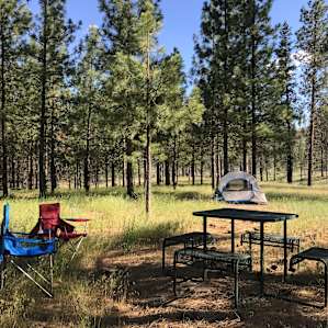 Our simple setup. Picnic table was a lifesaver.