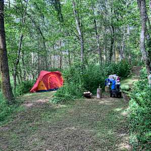 EZ Bee Farm Camp