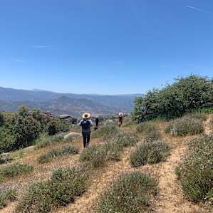 Oakley Ridge Nature Preserve