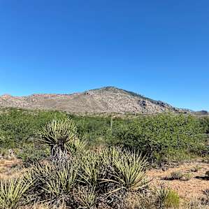 View from camp looking west.