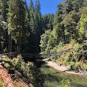 Camping on the Noyo- 9 Tent Sites