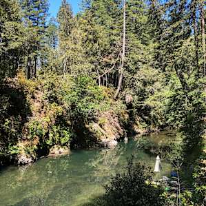 Camping on the Noyo- 9 Tent Sites