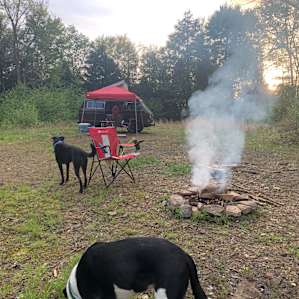 Boondocks campsite with ample room, small fire pit and beautiful trees surrounding. Perfect for star gazing.