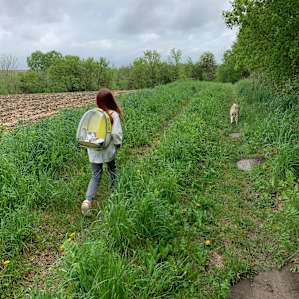 Trail to Back 20.