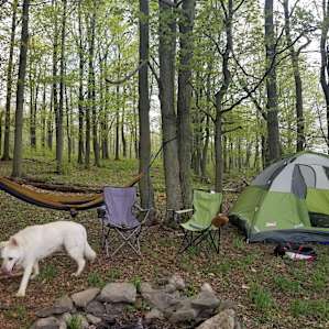 Sky Camp