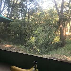 From dining table in trailer (requires upgrade to use it)