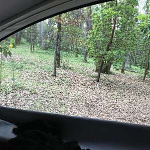 Rear bed facing woods with king bed