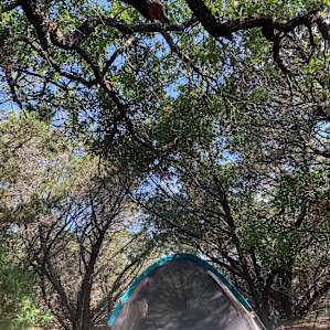 Shaded camping site for hot Texas weather.