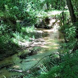Camping at Pea Ridge