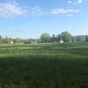View across the meadow back to the house