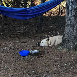 Our dog loved the site and was very tired after our hiking trip