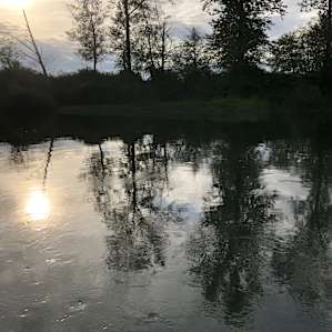 Evening view of the river from our campsite