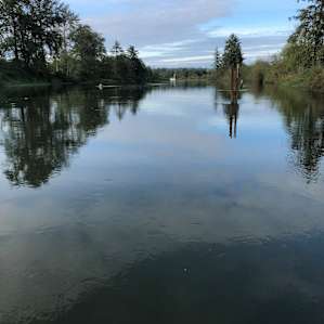 Snohomish River from bench seat on the dock