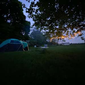 Camping with Unruly Goats