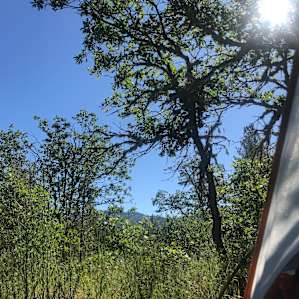 Zome Village Group Campsite