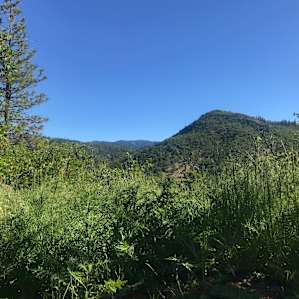 Zome Village Group Campsite