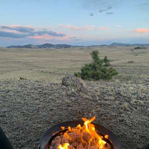 Southern Co. Camping Sites