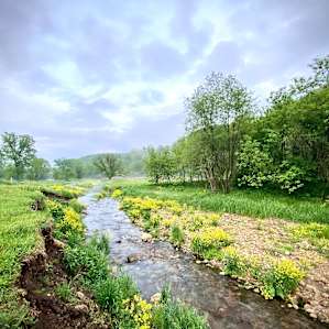 Big Trout Creek