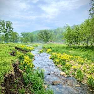 Big Trout Creek