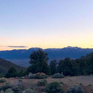 Falcon Acres- Serenity & Views