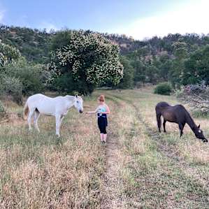 Downer Ranch Animal Sanctuary