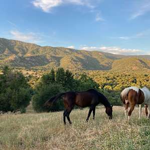 Downer Ranch Animal Sanctuary