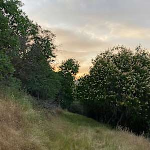 Downer Ranch Animal Sanctuary