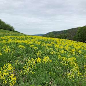 100 Acre Organic Farm