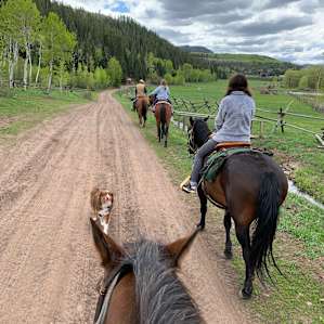 Outfitter Camp