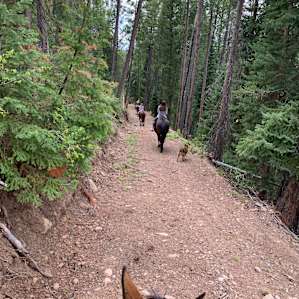 Outfitter Camp