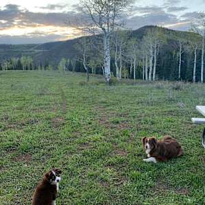 Outfitter Camp