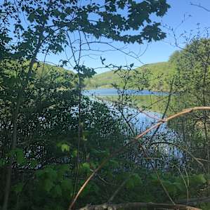 Nearby lake