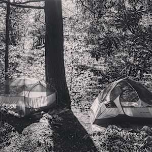 Taino Woods Sanctuary (upper camp)