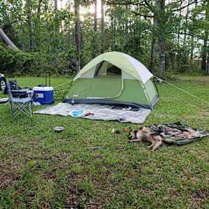 Perfect site for our stuff (pardon my dog- LOL)!