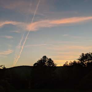 Love a good sunset in the woods.
