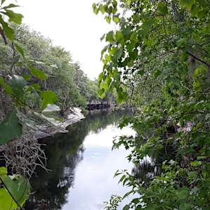 Suwannee River Glamping