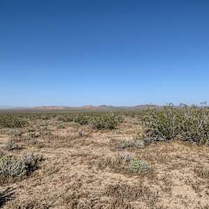NightJar Oasis