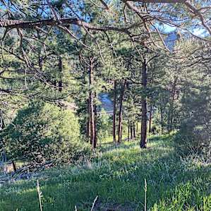 Riverside Glamping in the Rockies