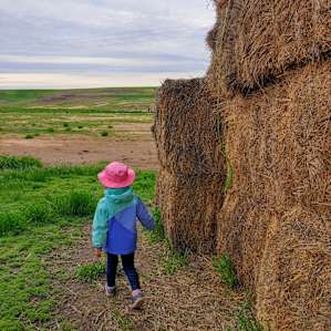 Our kiddo loved the haystacks