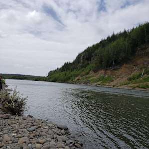 Hoh river, a 2-3 minute walk from our sites (1,2,3)