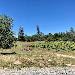 Peaceful Winery Camping