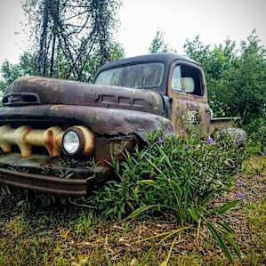 More awesome old stuff overgrown by beautiful plants.