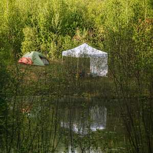 Beaver pond