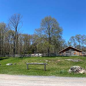 The horse barn