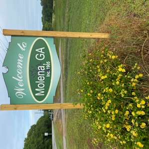 Wild Daisy Farm