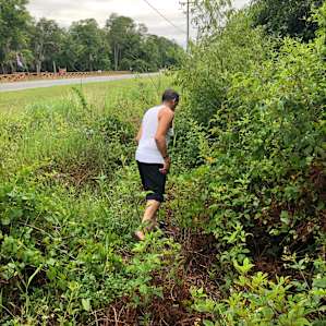 Blueberry picking