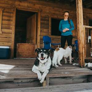 Pups are allowed at this listing off-leash. Our dogs had so much fun roaming free in the fresh mountain air.