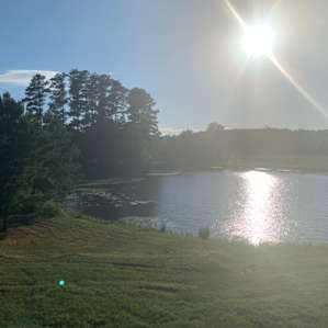 Flyin H Ranch