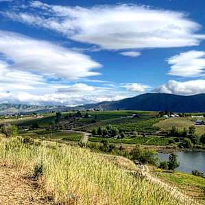 Four Lakes Winery-Vineyard-Orchard